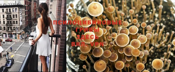 хмурый Артём