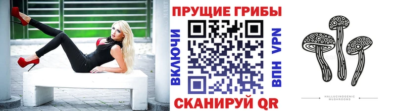 ОМГ ОМГ Дыгулыбгей Галлюциногенные грибы прущие грибы дарк нет клад где купить наркоту